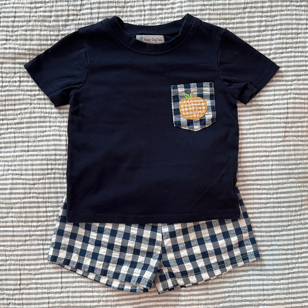Fall pumpkin matching set, 2T